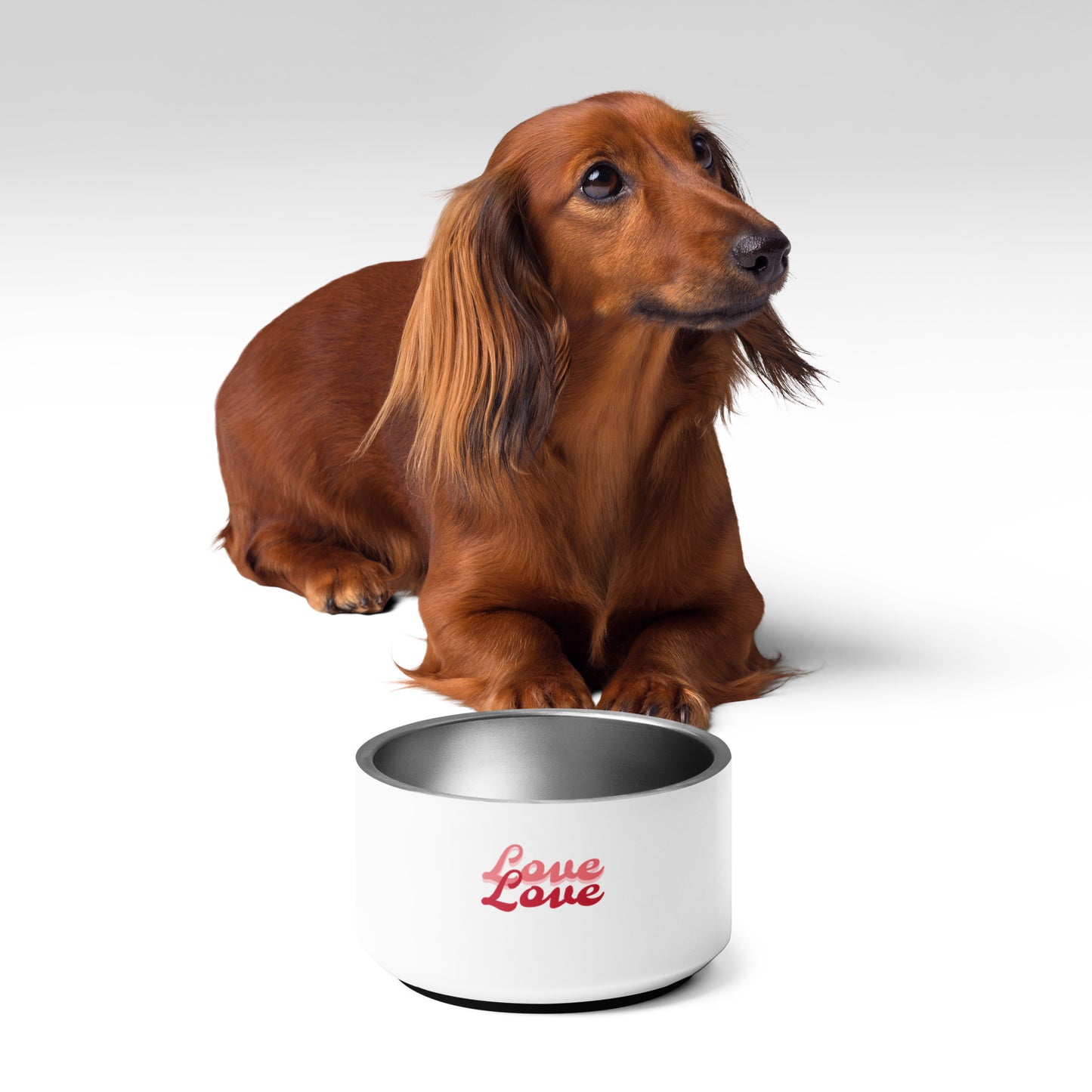 Enchanted Zeal™ - "Love" Pet bowl