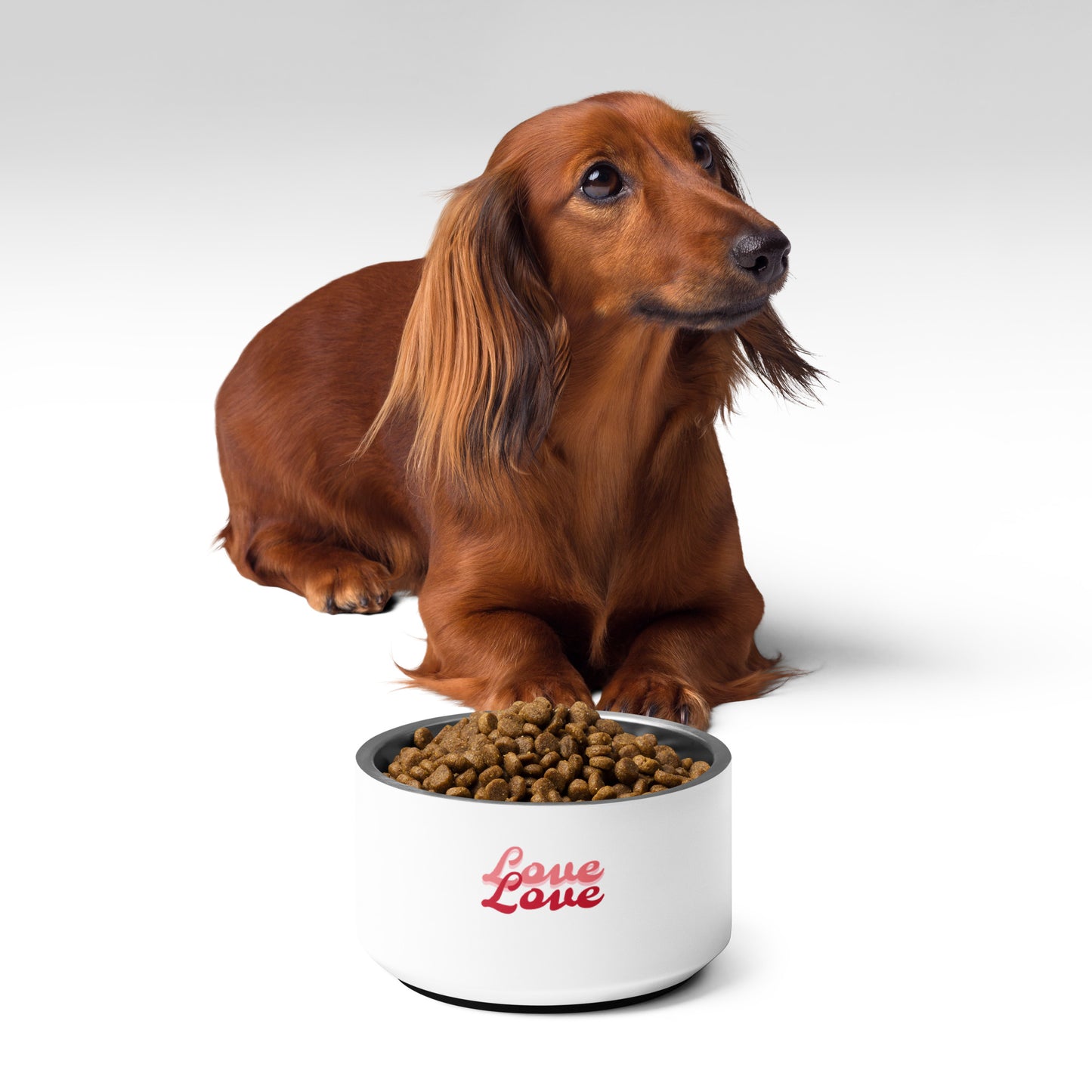 Enchanted Zeal™ - "Love" Pet bowl