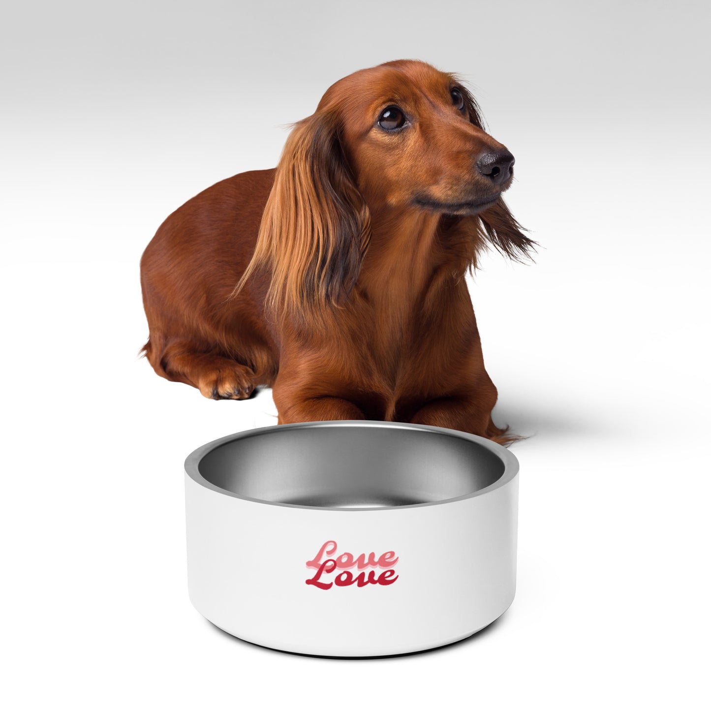 Enchanted Zeal™ - "Love" Pet bowl