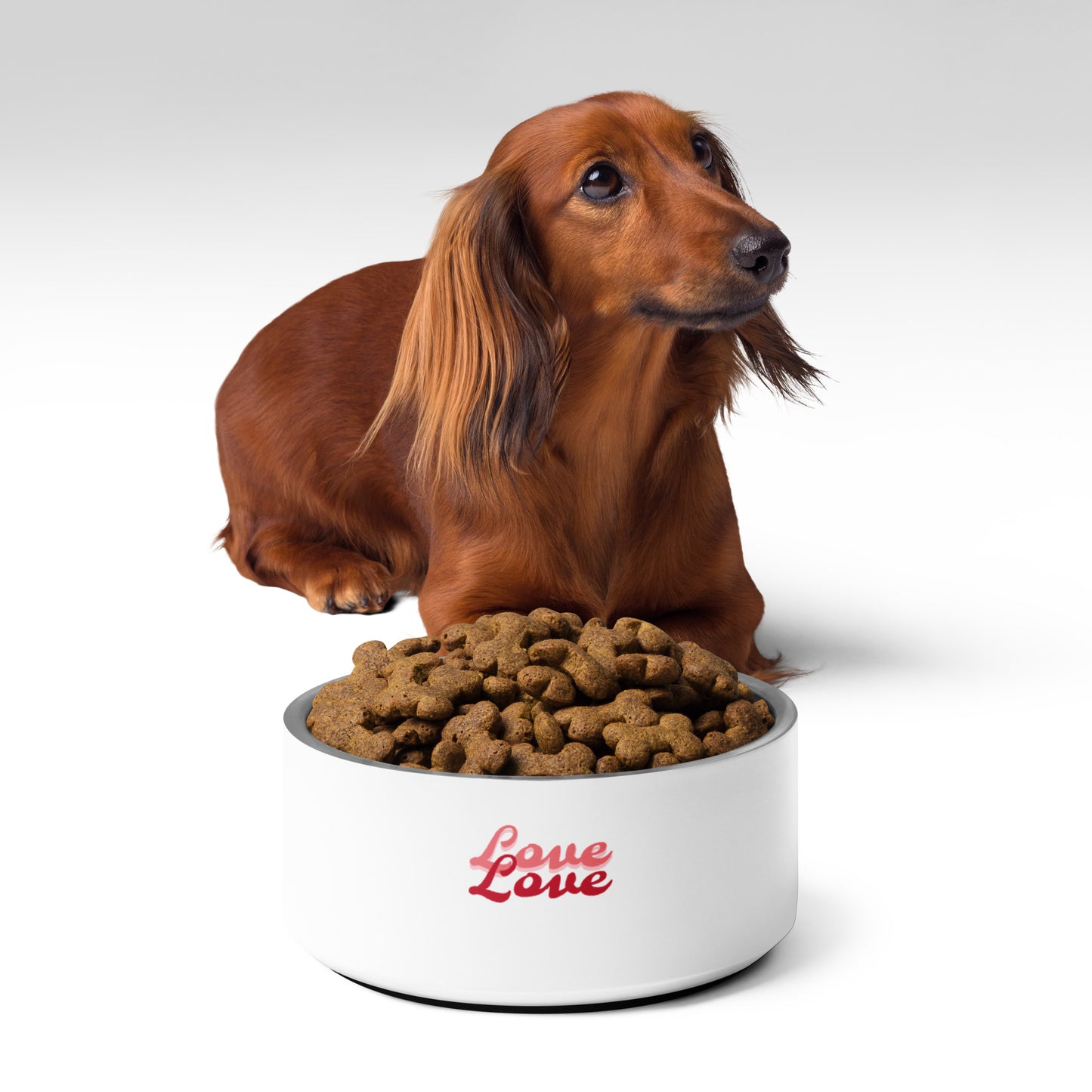 Enchanted Zeal™ - "Love" Pet bowl