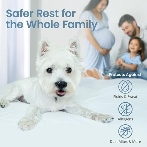 SafeRest Mattress Protector - Queen Size Cotton Terry Waterproof Mattress Protector, Breathable Fitted Mattress Cover with Stretchable Pockets