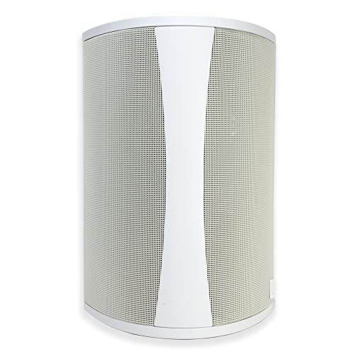 Definitive Technology AW6500 Outdoor Speaker 6.5-inch Woofer 200 Watts - Single (White)